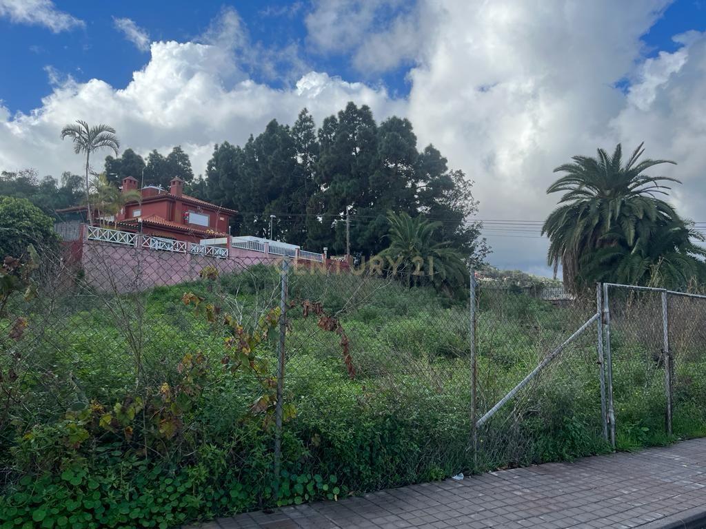 Terreno - Image 5