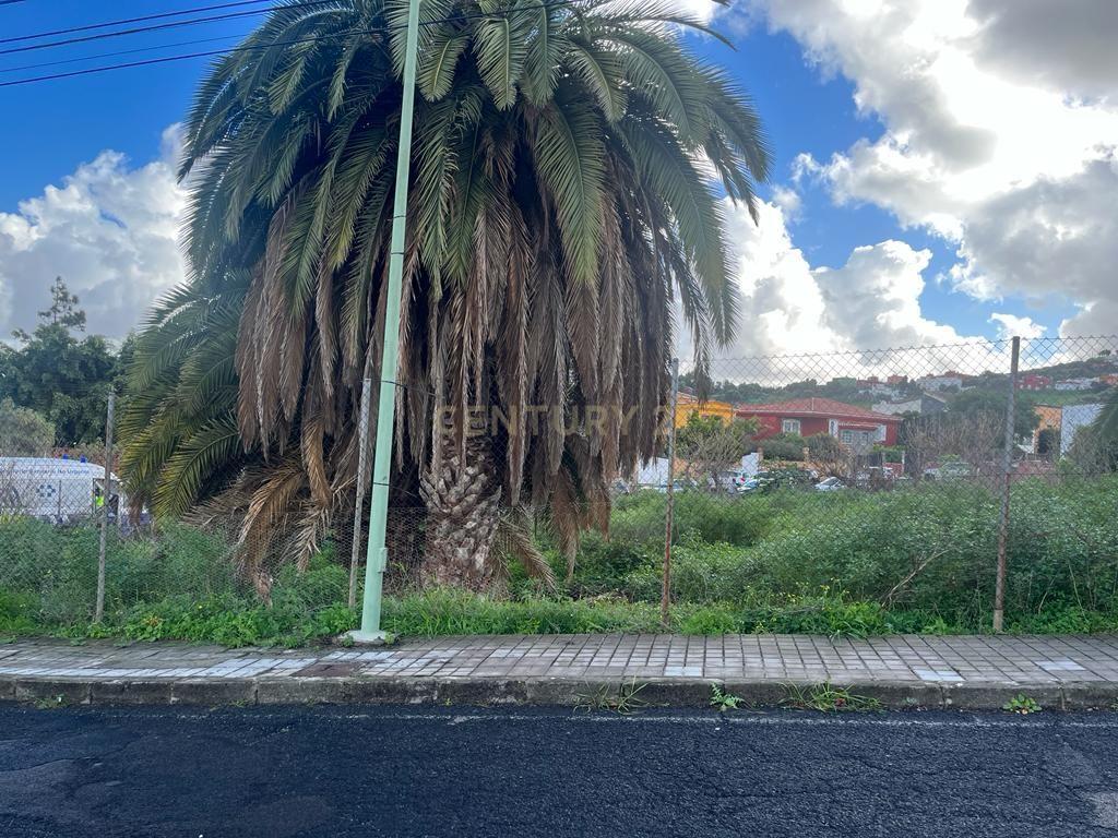 Terreno - Image 4