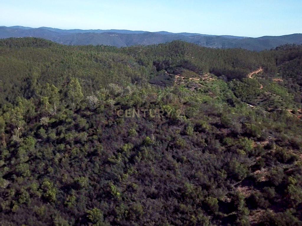 Propriedade Exclusiva com Quase 13 Hectares em Monchique, Palheiros - Image 38
