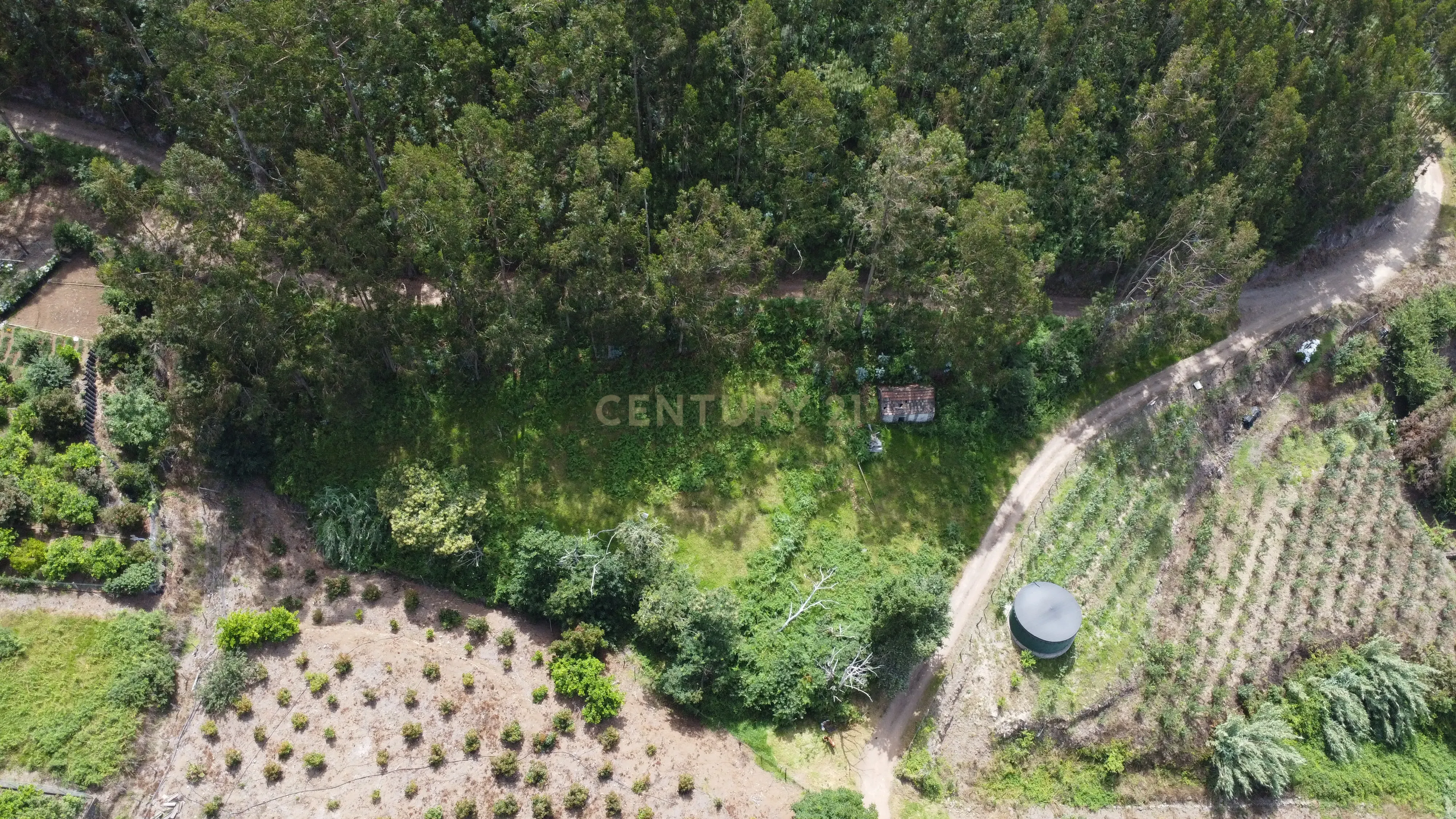 Fotografia 8 de Oportunidade Exclusiva na Madeira – Terreno com 3.796 m² nos Canhas, Ponta do Sol