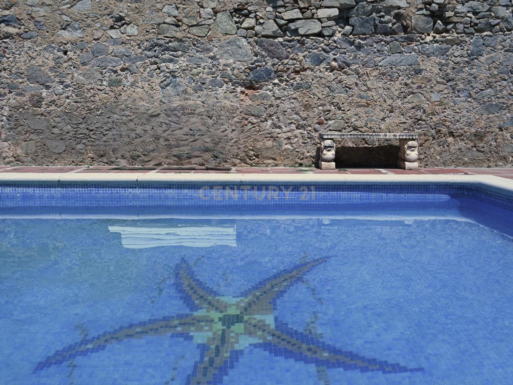  - Image 12