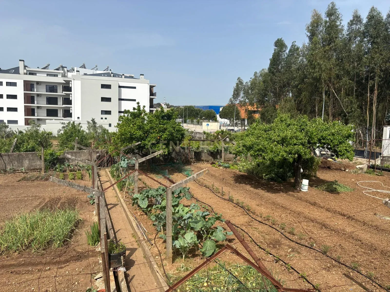 Fotografia 5 de Terreno para Construção em Altura – Entroncamento