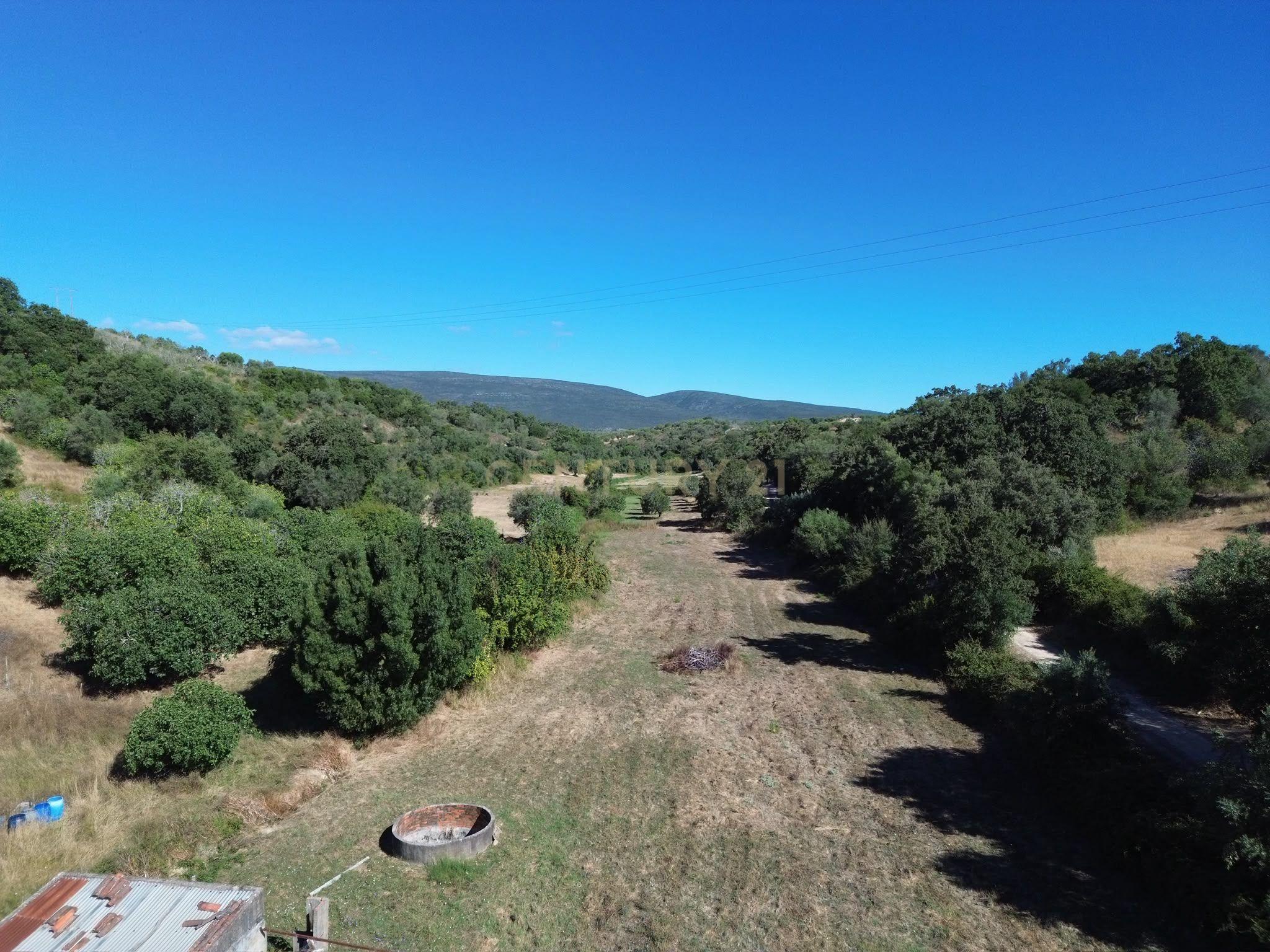 Fotografia 5 de Terreno Rústico com 29.880 m² nas Lapas, Torres Novas