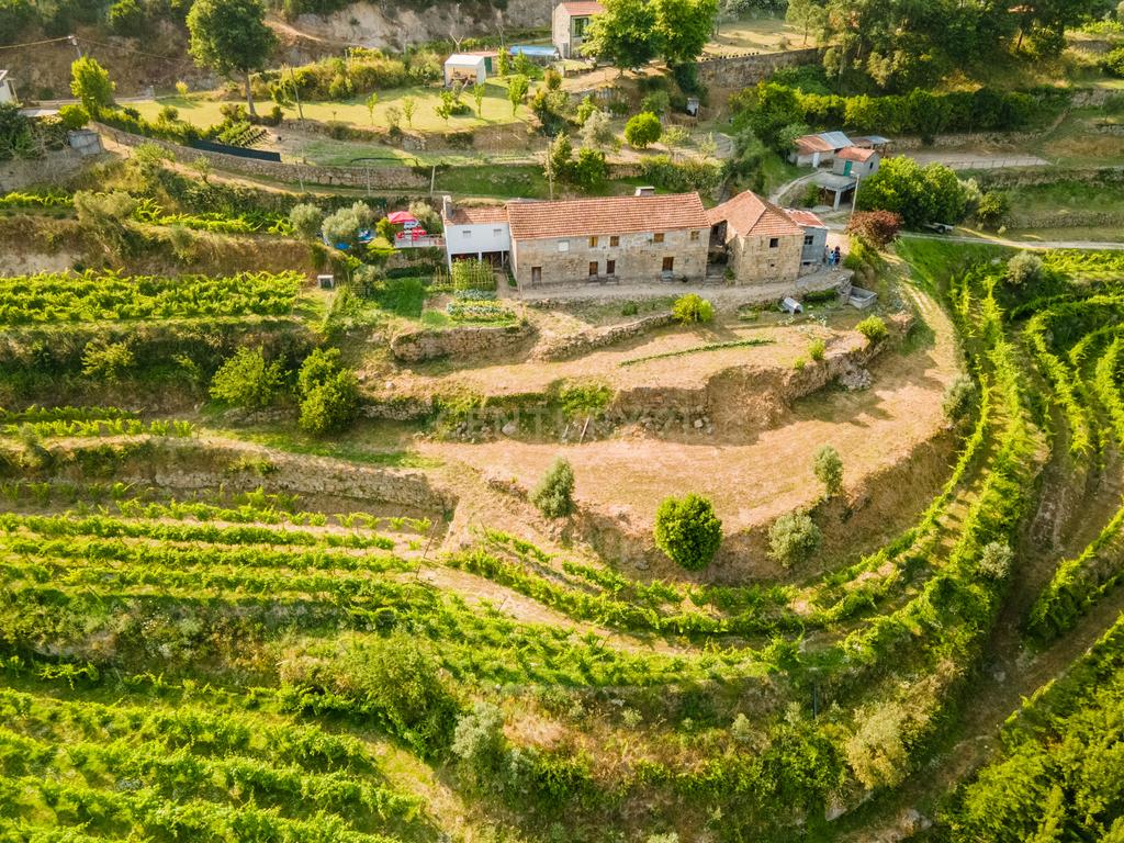 Quinta com Vista Deslumbrante sobre o Rio Douro – Projeto Aprovado para Hotel Rural | Paços de Gaiolo - Image 10
