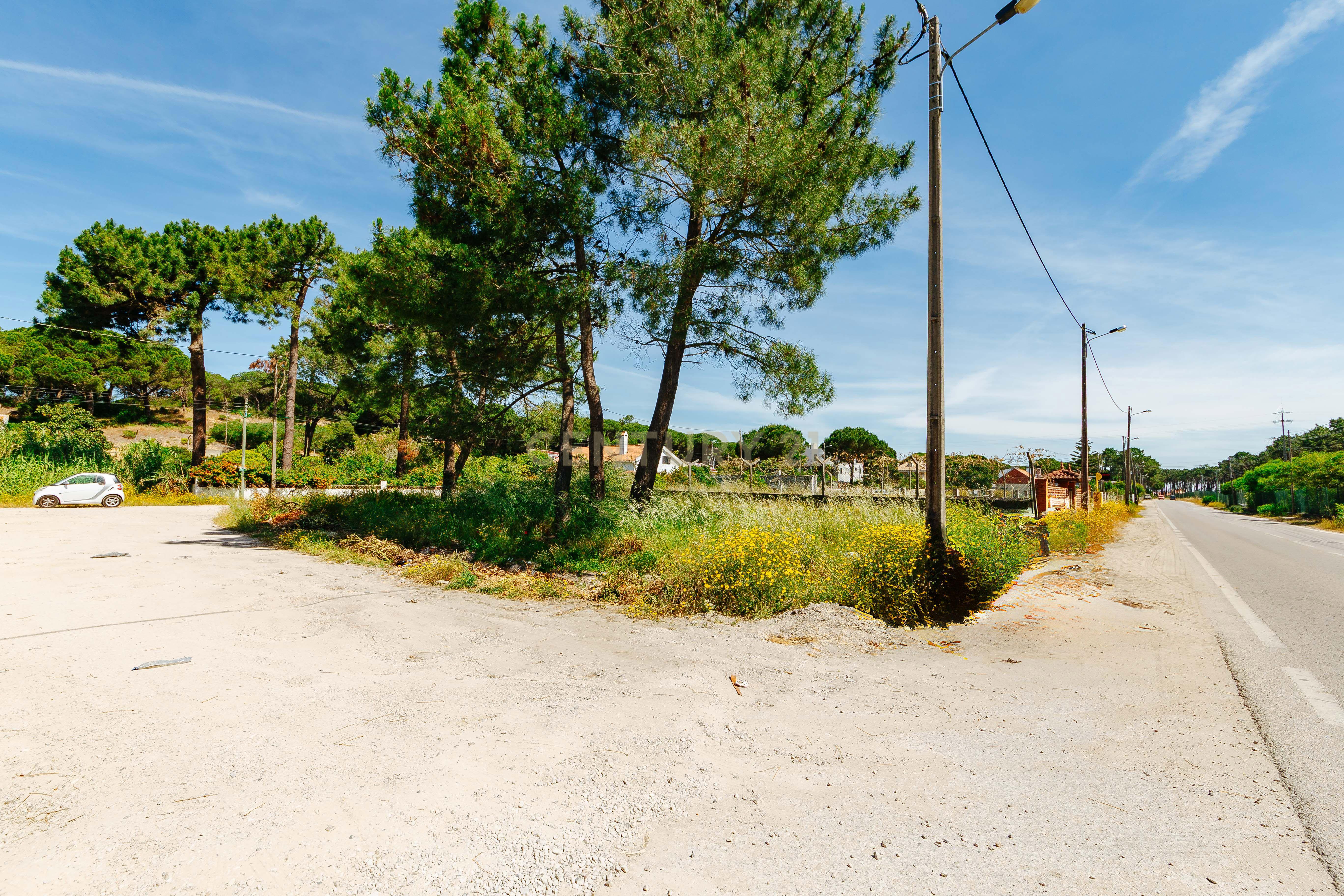 Fotografia 7 de Terreno Urbano na Charneca de Caparica | Pinhal da Aroeira