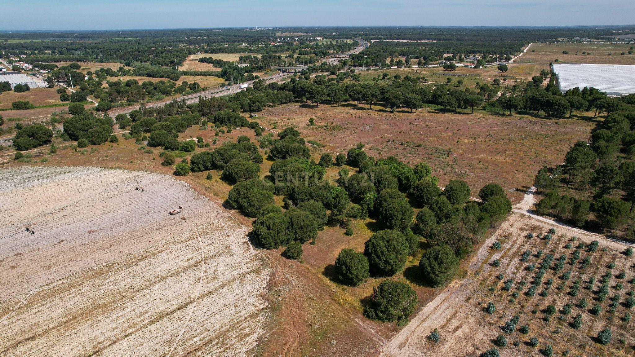 Terreno Rústico c/ 22.500m2 - Sto Isidro de Pegões - Montijo - Image 10