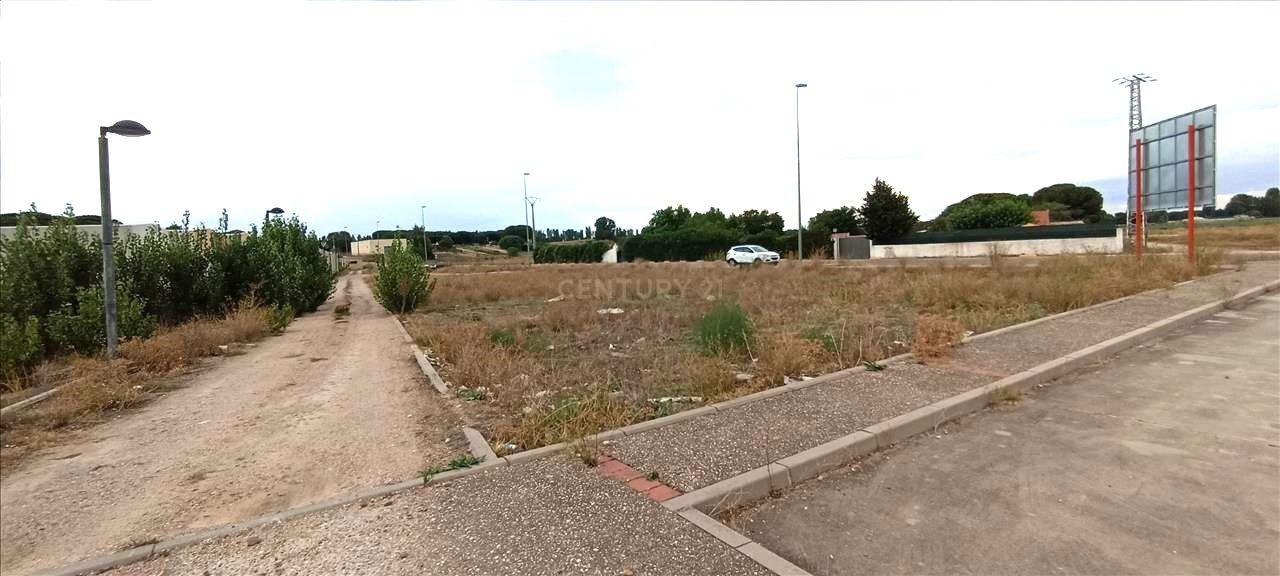 Terreno - Image 4