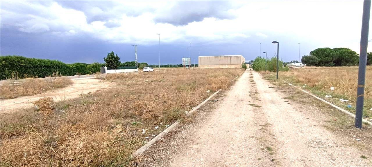 Terreno - Image 5