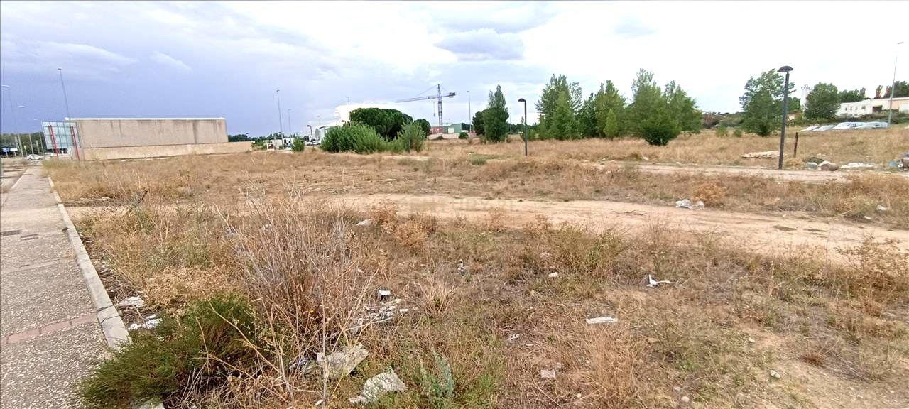 Terreno - Image 7