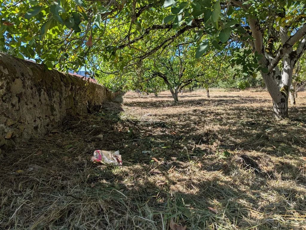 Terreno Viabilidade Construção em Espinhal, Penela – Excelente Oportunidade de Investimento - Image 12