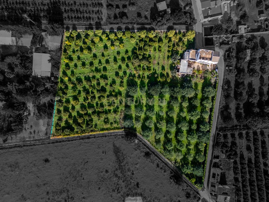 Moradia com Terrenos Rústicos na Horta da Jardina – Bela Salema, Faro - Image 1