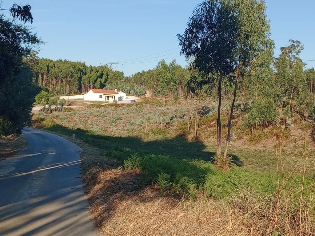 Terreno com projecto aprovado, no Cidral, em Rio Maior - Image 3