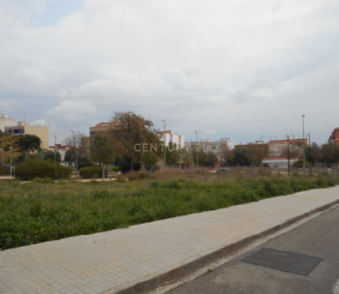 Terreno - Image 10