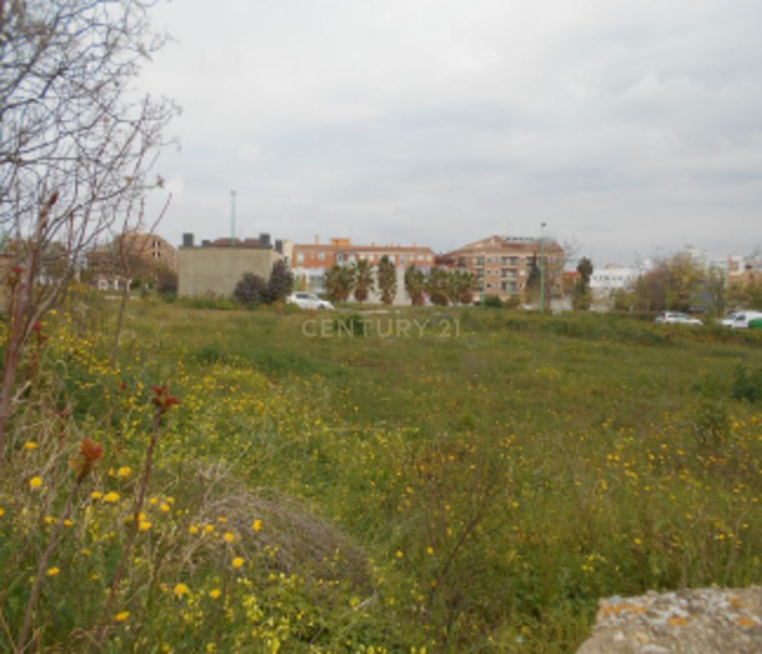 Terreno - Image 16