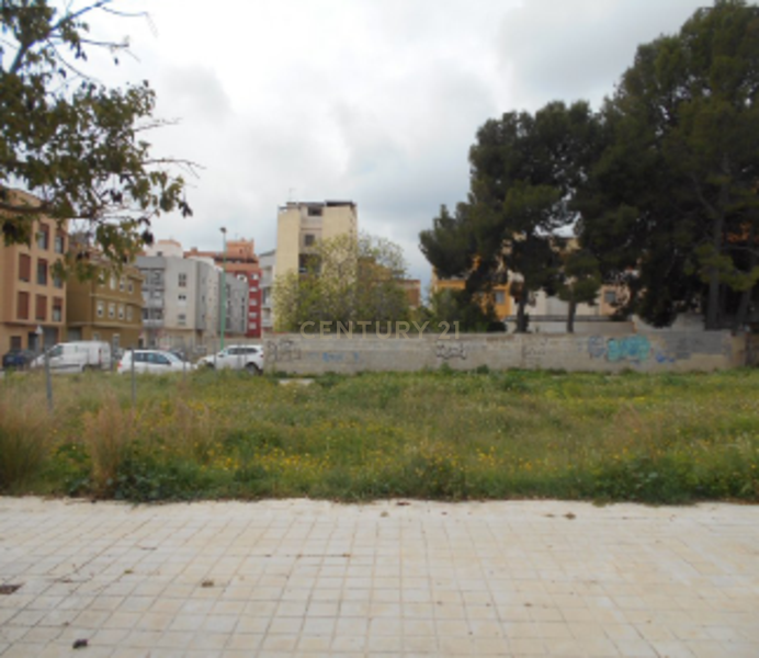 Terreno - Image 5