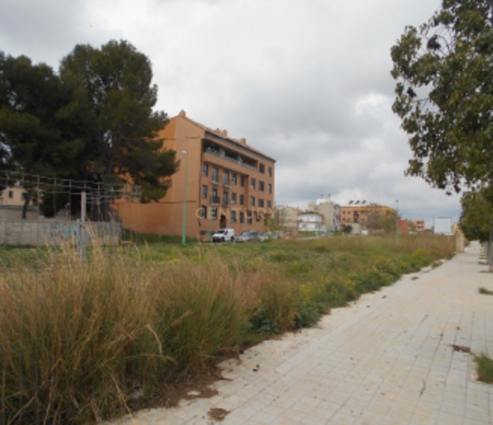 Terreno - Image 7