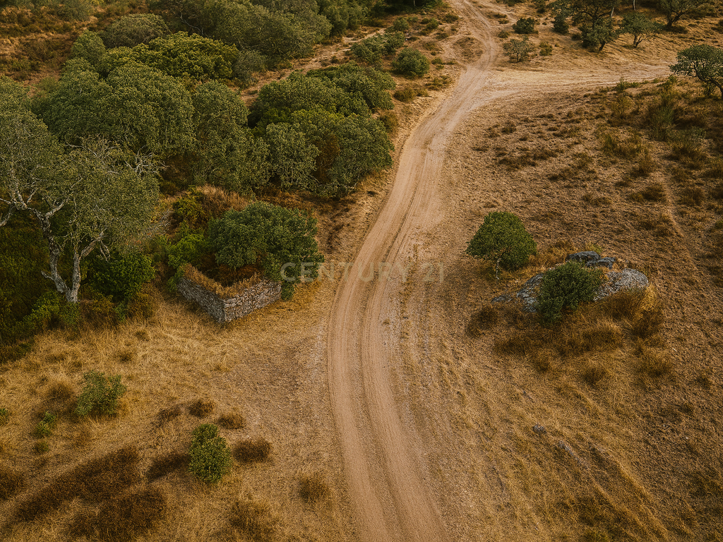 Terreno Misto, com 2 Ruínas, Moinho e Casa do Moleiro em Ribeira de Mira (Santa Clara-a-Nova). - Image 10