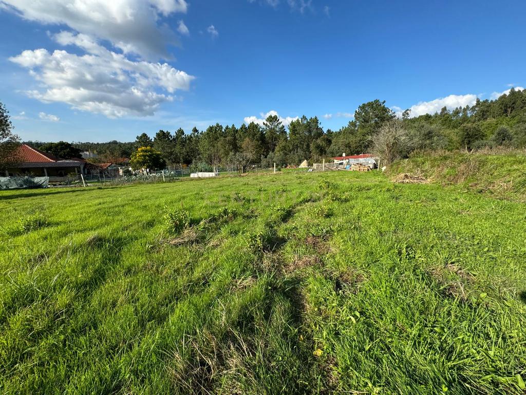 Moradia em ruina sita em Assanha da Paz - Image 14