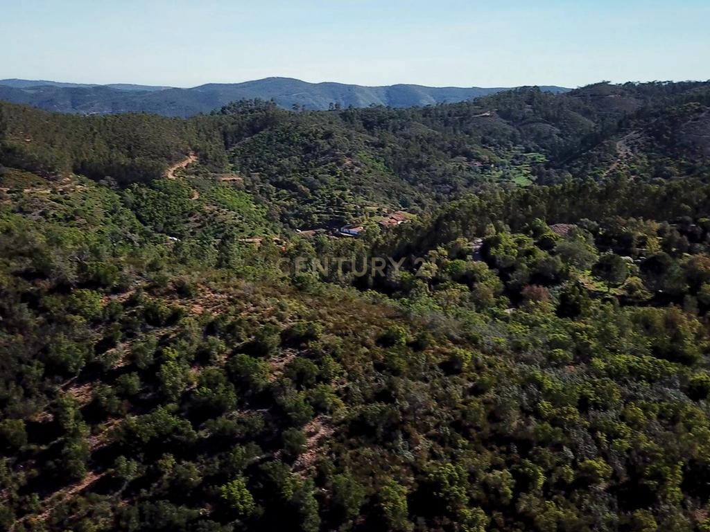 Propriedade Exclusiva com Quase 13 Hectares em Monchique, Palheiros - Image 37