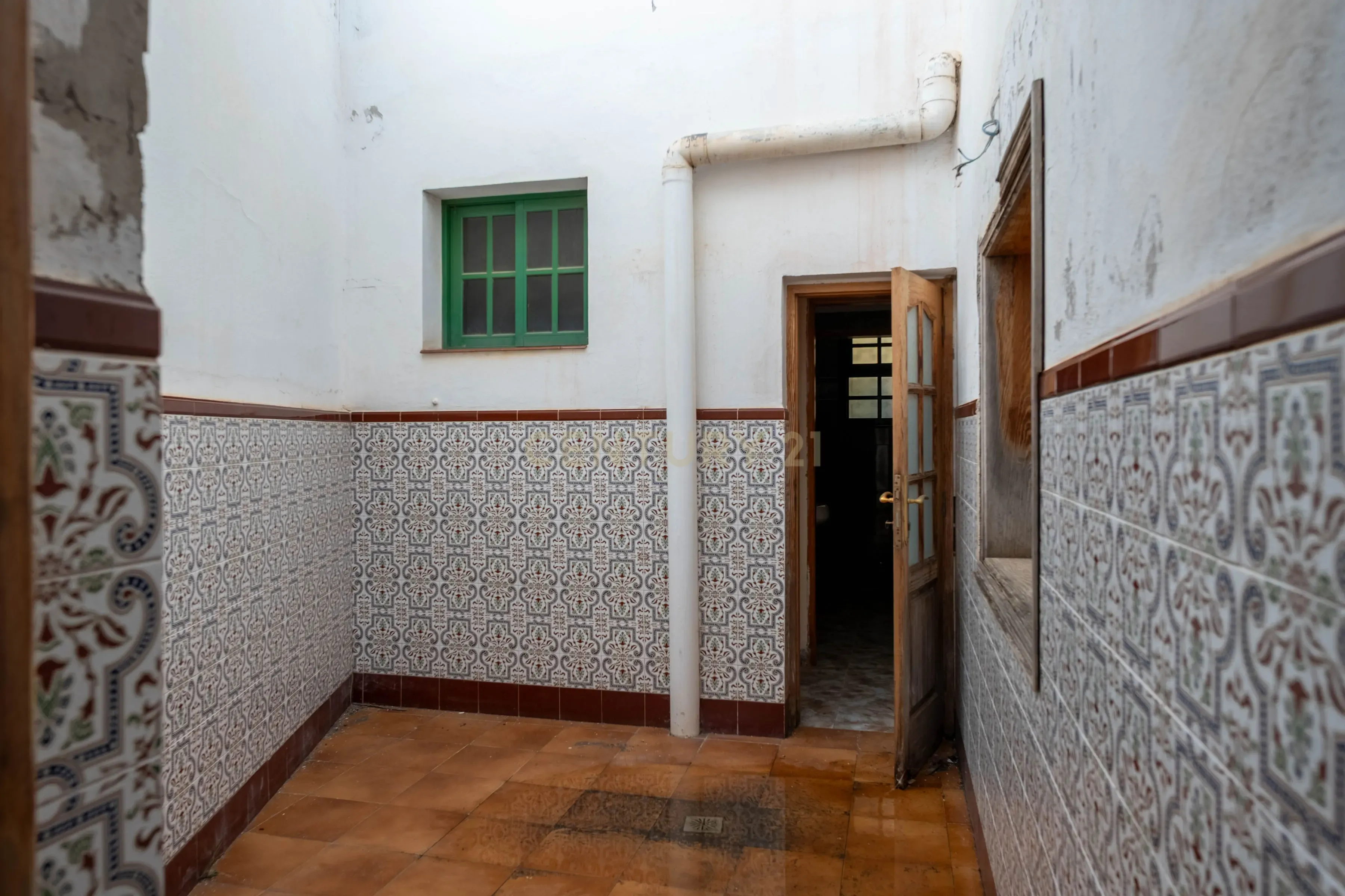 - Image 7