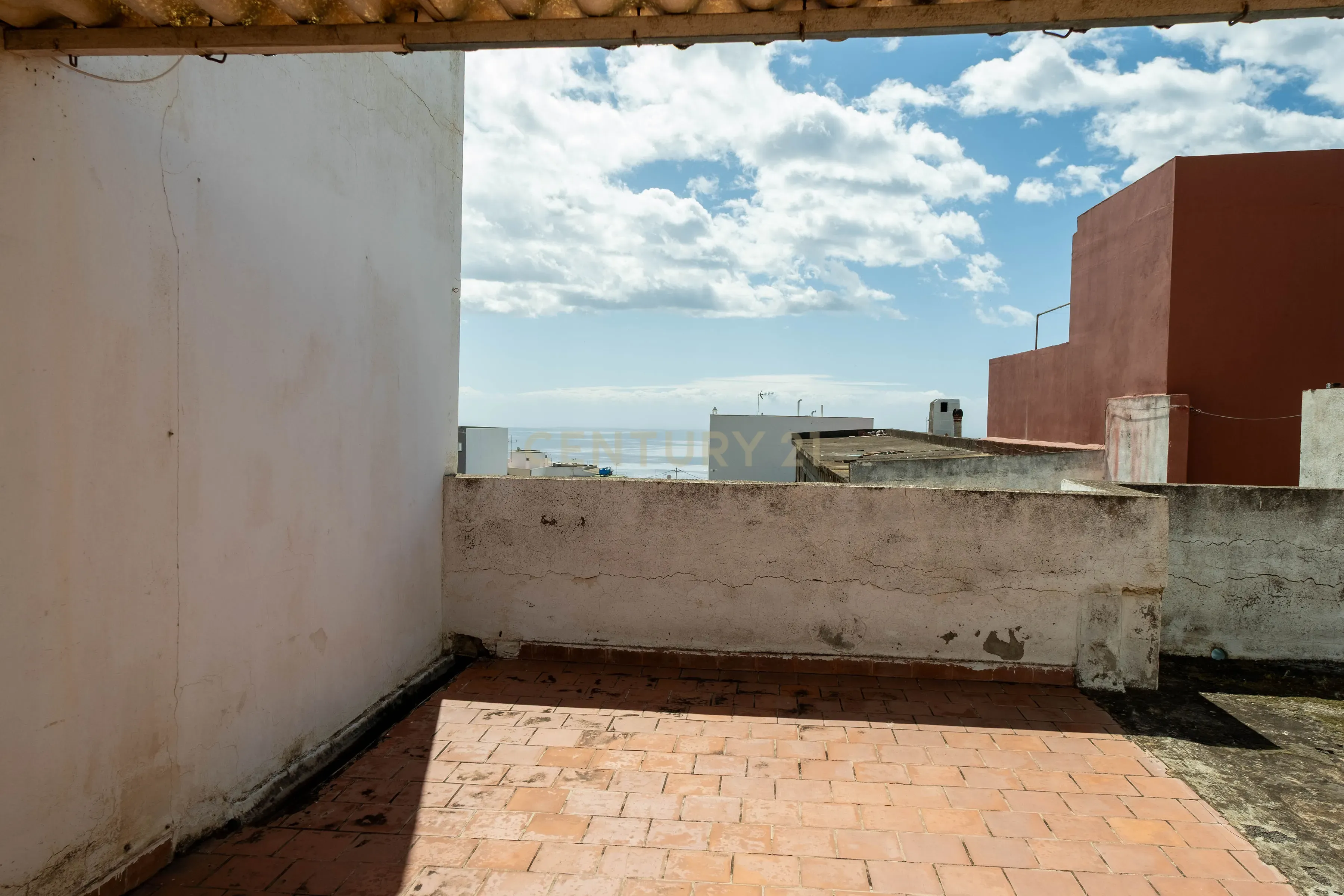 - Image 12
