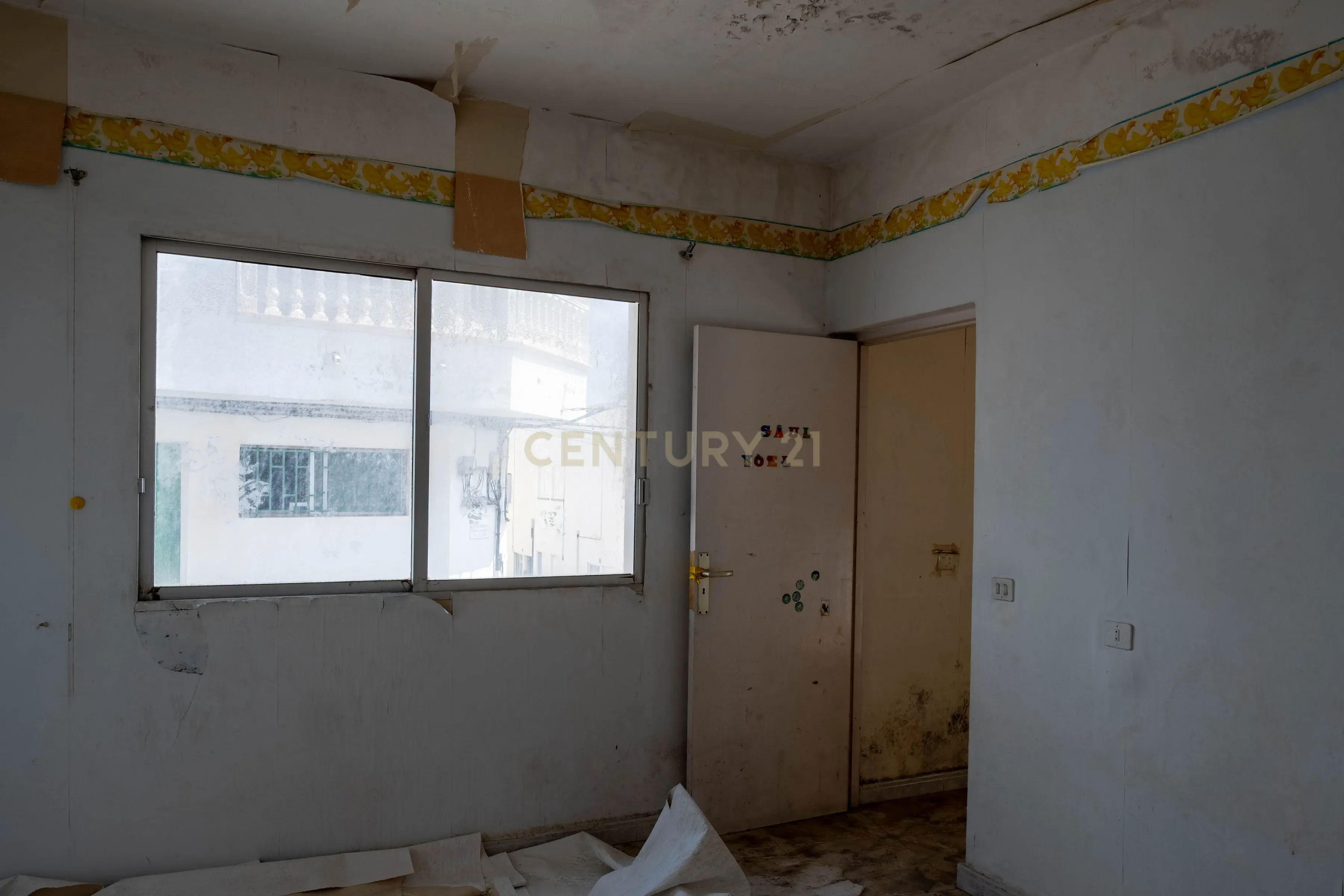 - Image 6