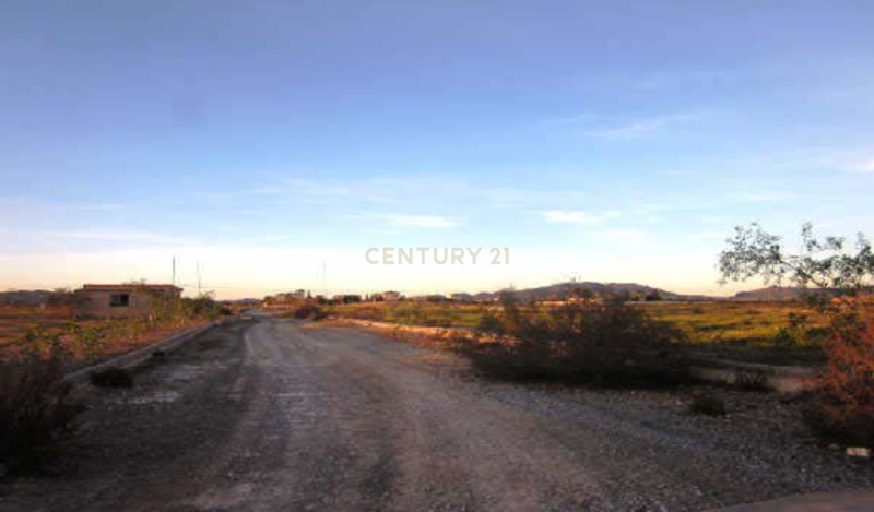 Terreno - Image 12