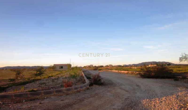 Terreno - Image 10