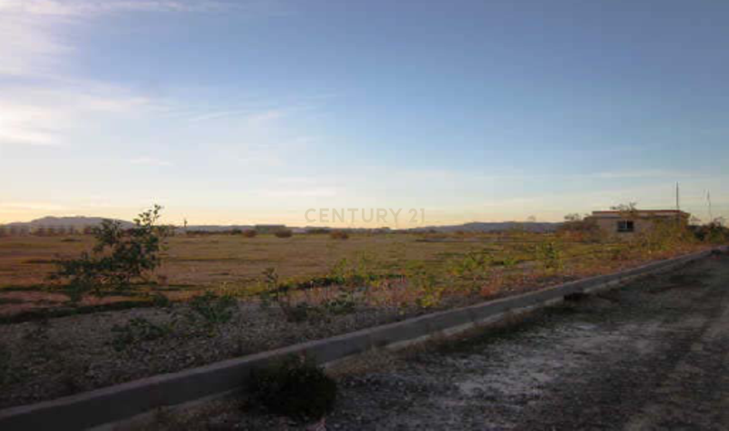 Terreno - Image 11