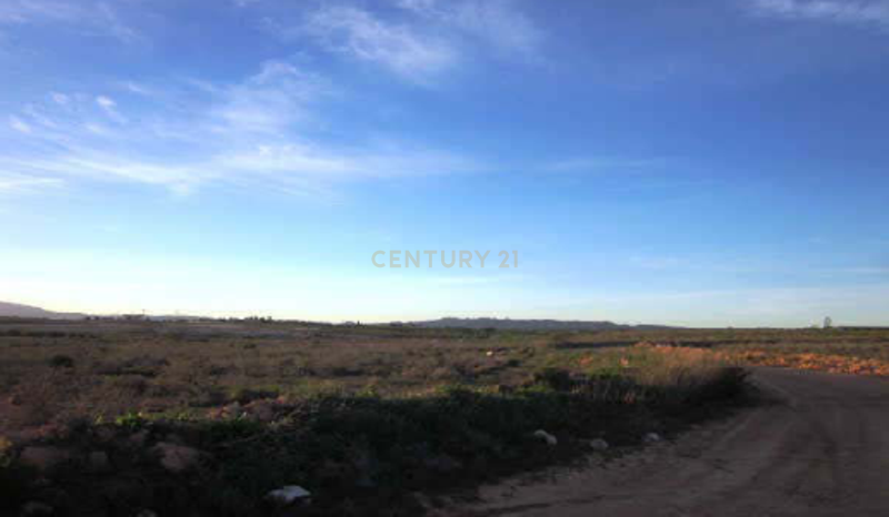 Terreno - Image 9
