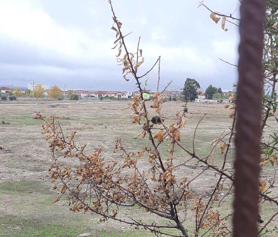 Terreno - Image 12