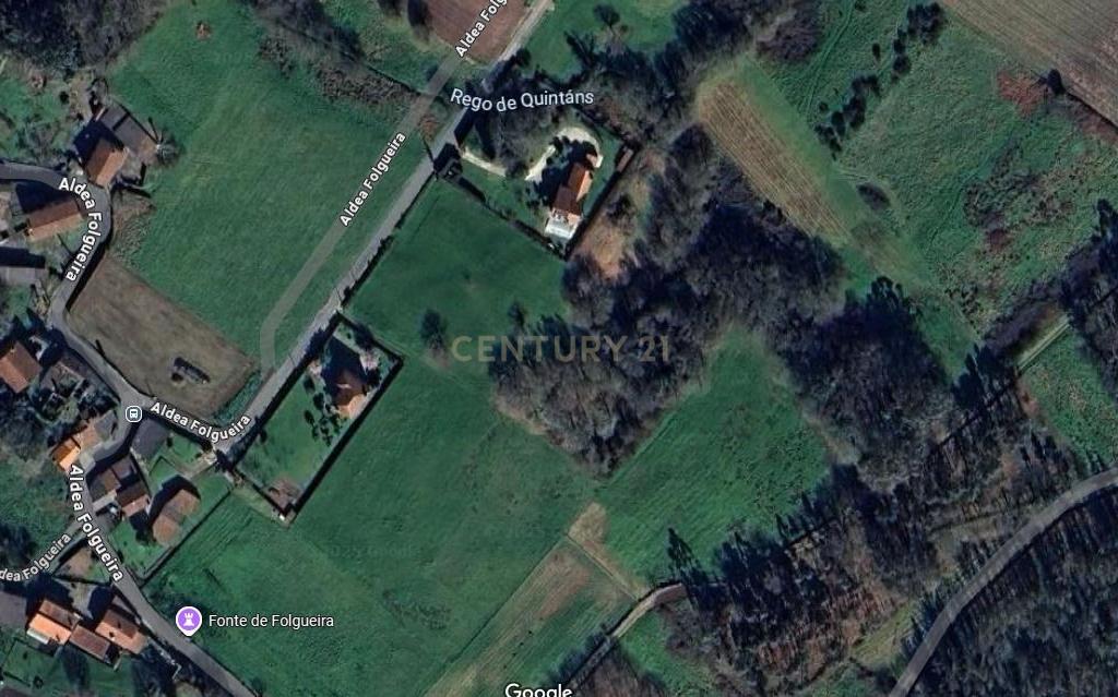 - Image 7