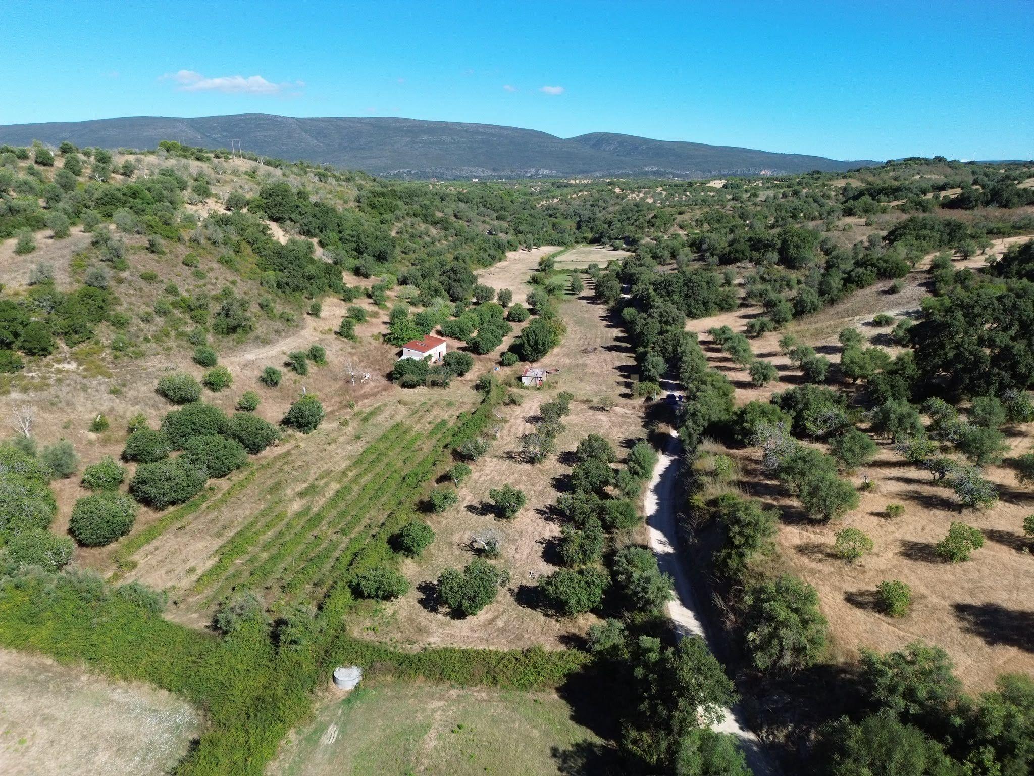 Fotografia 11 de Terreno Rústico com 29.880 m² nas Lapas, Torres Novas