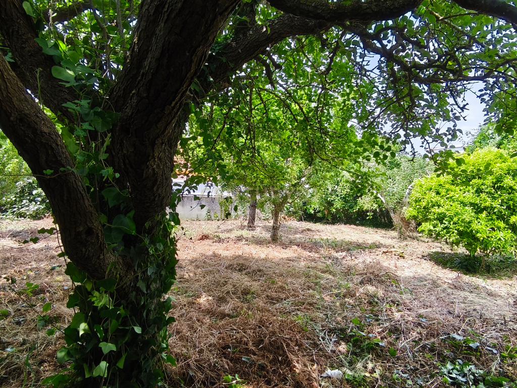 Moradia T4 em Torres Vedras em lote de 625m2 - Image 10