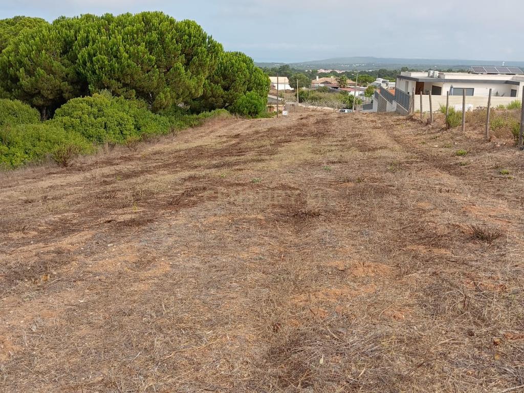Terreno com área de 10.000m2 com projeto aprovado perto da Aldeia do Meco - Image 14