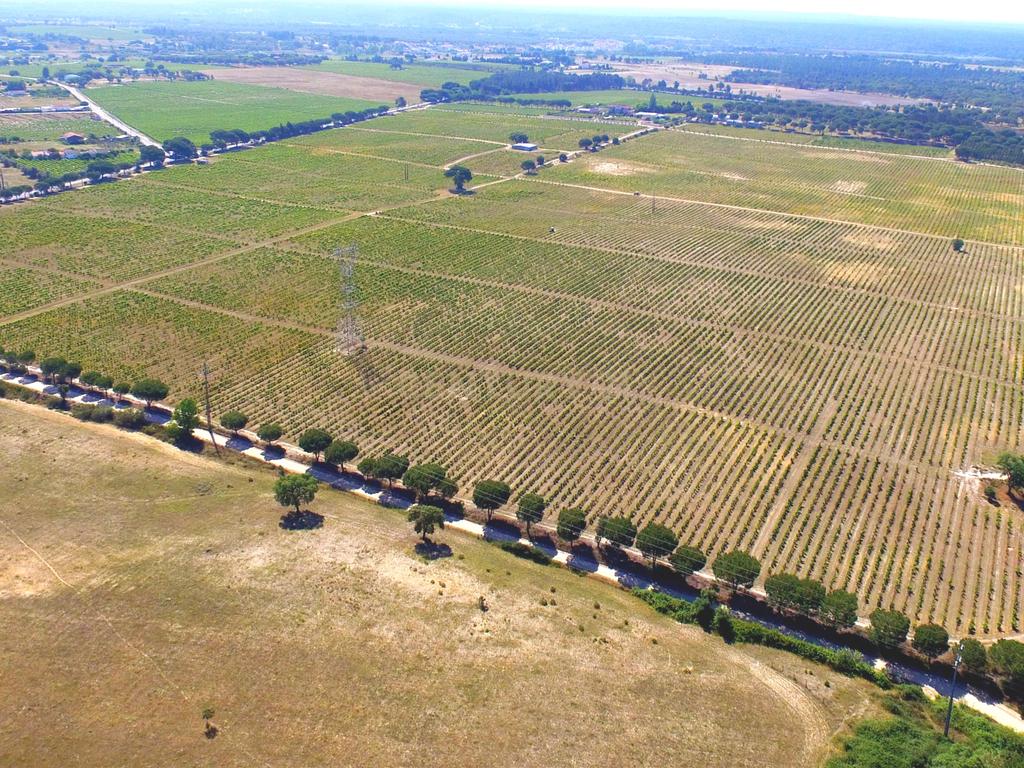 Herdade Dos Mascarenhas com 102 hectares em Palmela - Image 15