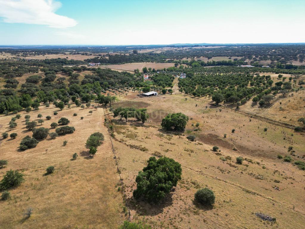 Quinta Charmosa em Montemor o Novo - Oportunidade Única - Image 7