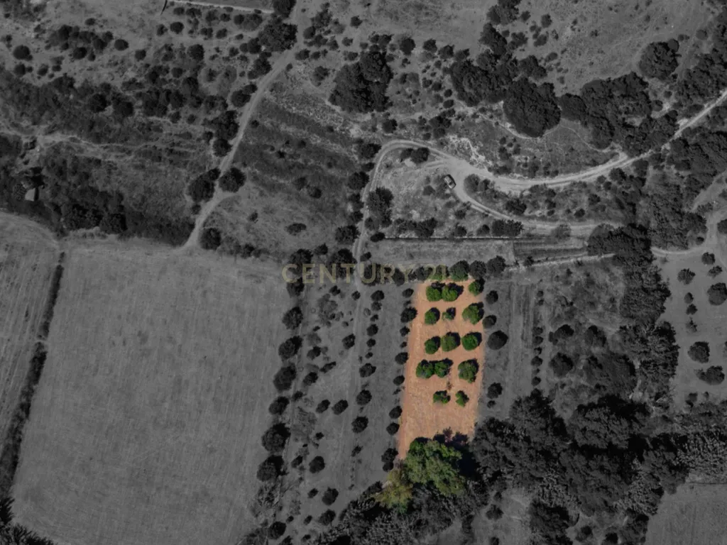 Refúgio na natureza junto a ribeira - Image 1