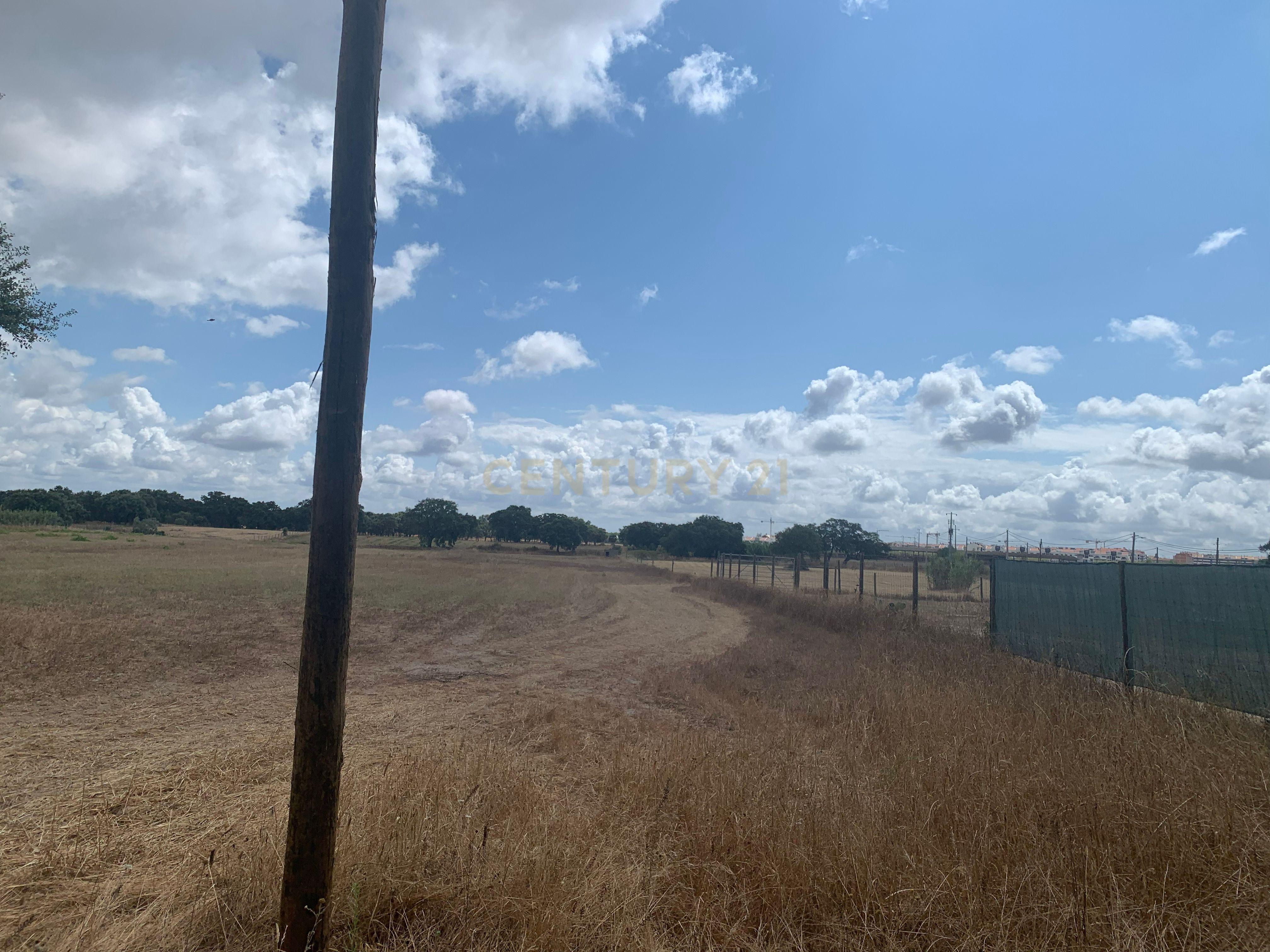Fotografia 7 de Vende-se Imperdível Quinta no Pinhal Novo