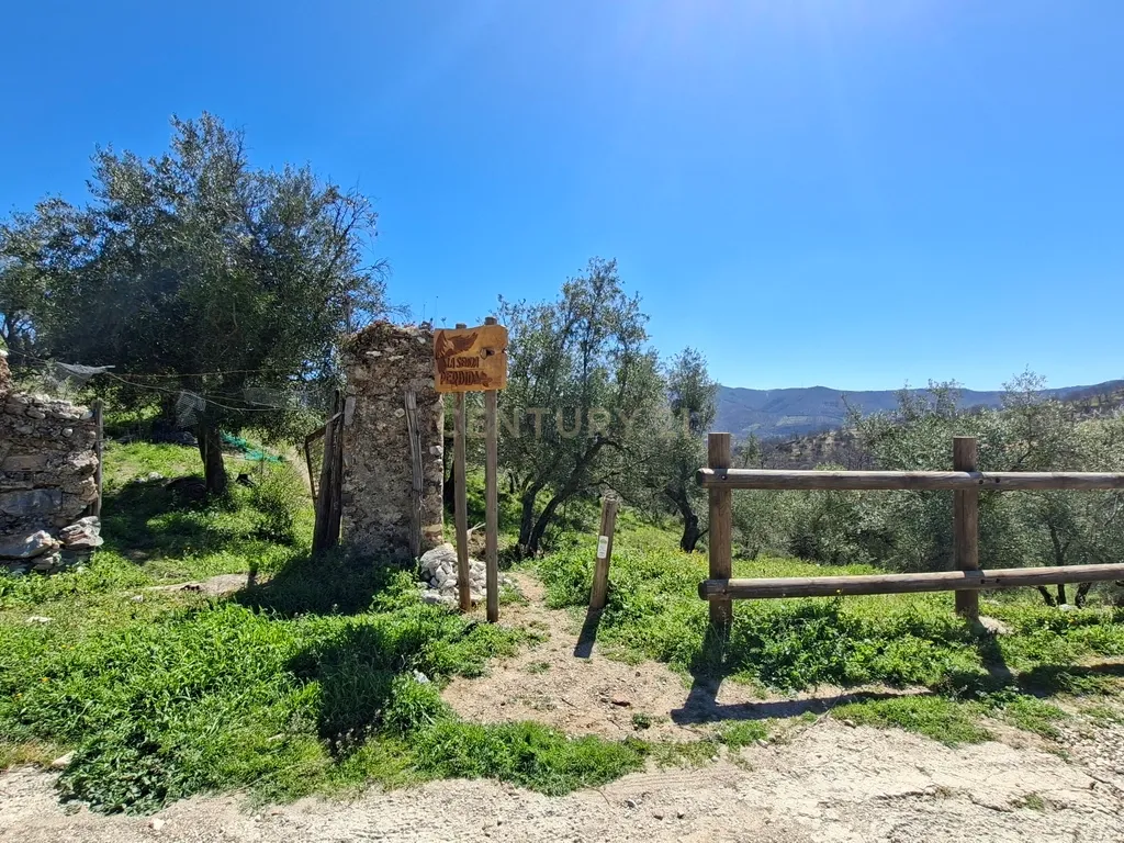 Moradia geminada de gaveto, com orientação sul, vistas para a montanha e duas propriedades rústicas com oliveiras, vinhas e castanheiros, no coração do Alto Genal. - Image 17