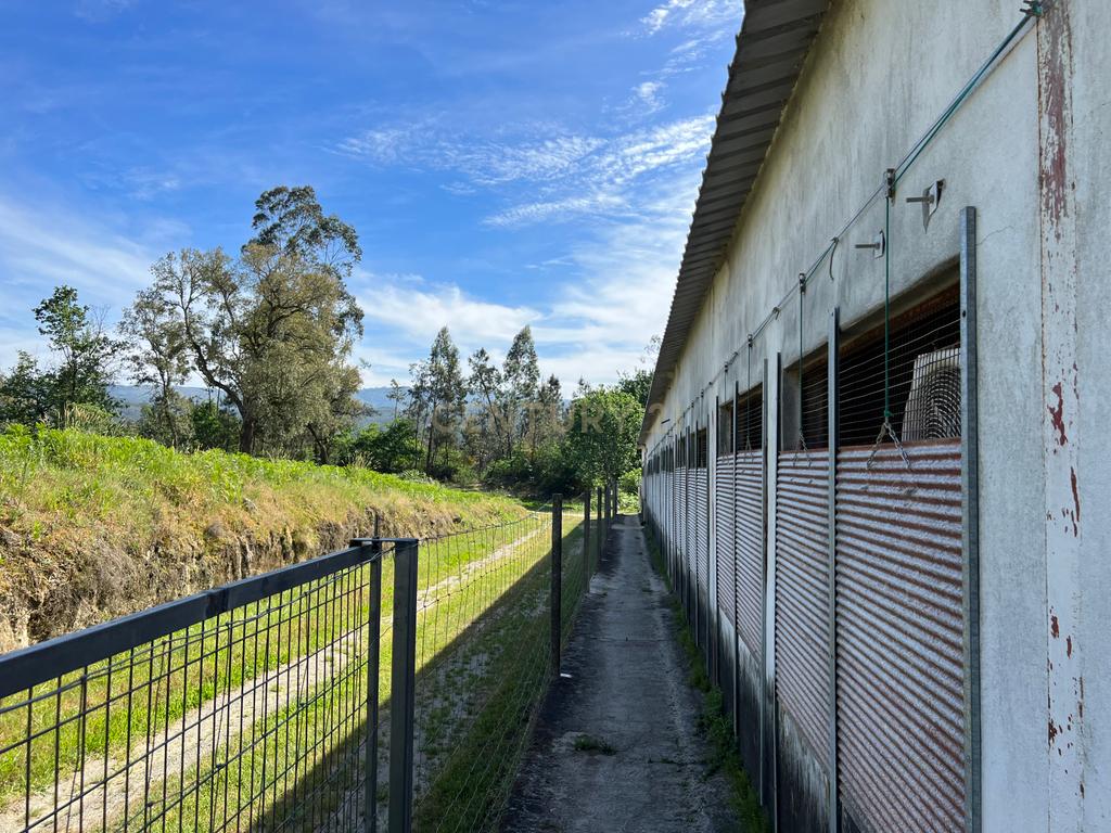 Terreno de 7.500 m² situado próximo ao lago, contendo uma casa a ser restaurada e um aviário automatizado altamente rentável. - Image 6