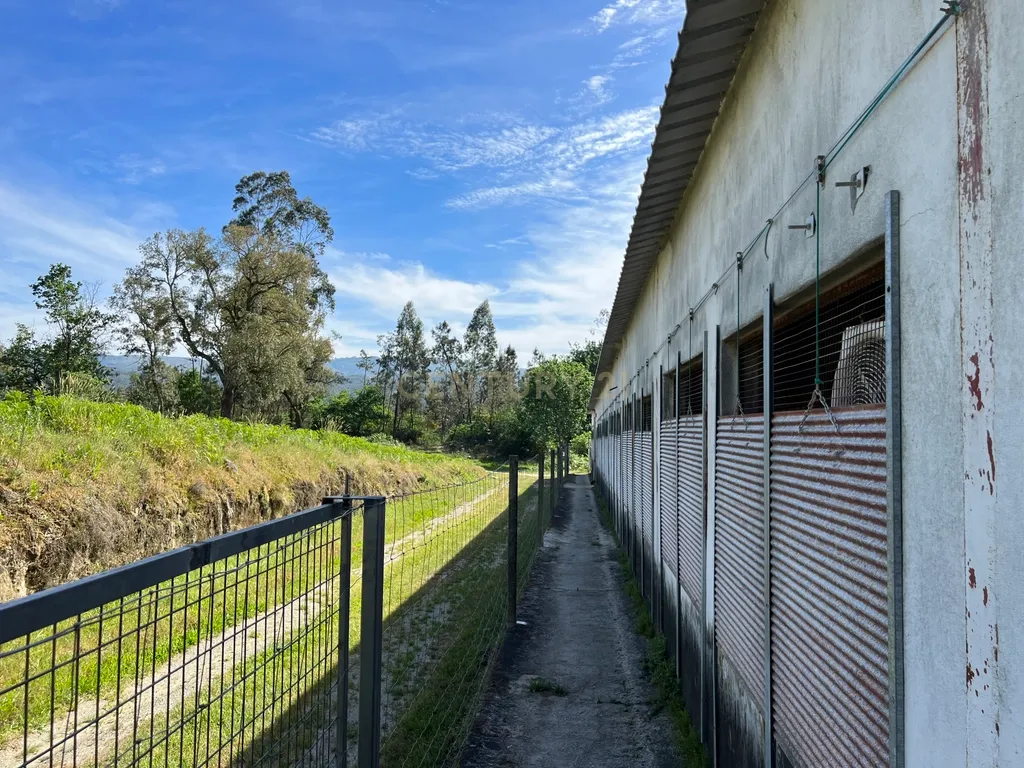 Terreno de 7.500 m² situado próximo ao lago, contendo uma casa a ser restaurada e um aviário automatizado altamente rentável. - Image 6
