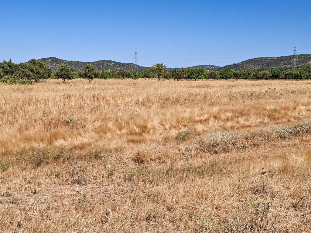 Terreno Rústico com Grande Potencial Agrícola – 7.800 m² em Paderne, Albufeira - Image 3