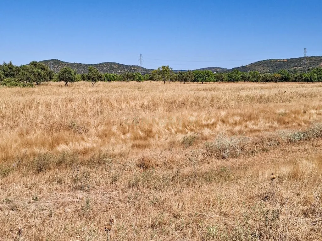 Terreno Rústico com Grande Potencial Agrícola – 7.800 m² em Paderne, Albufeira - Image 3