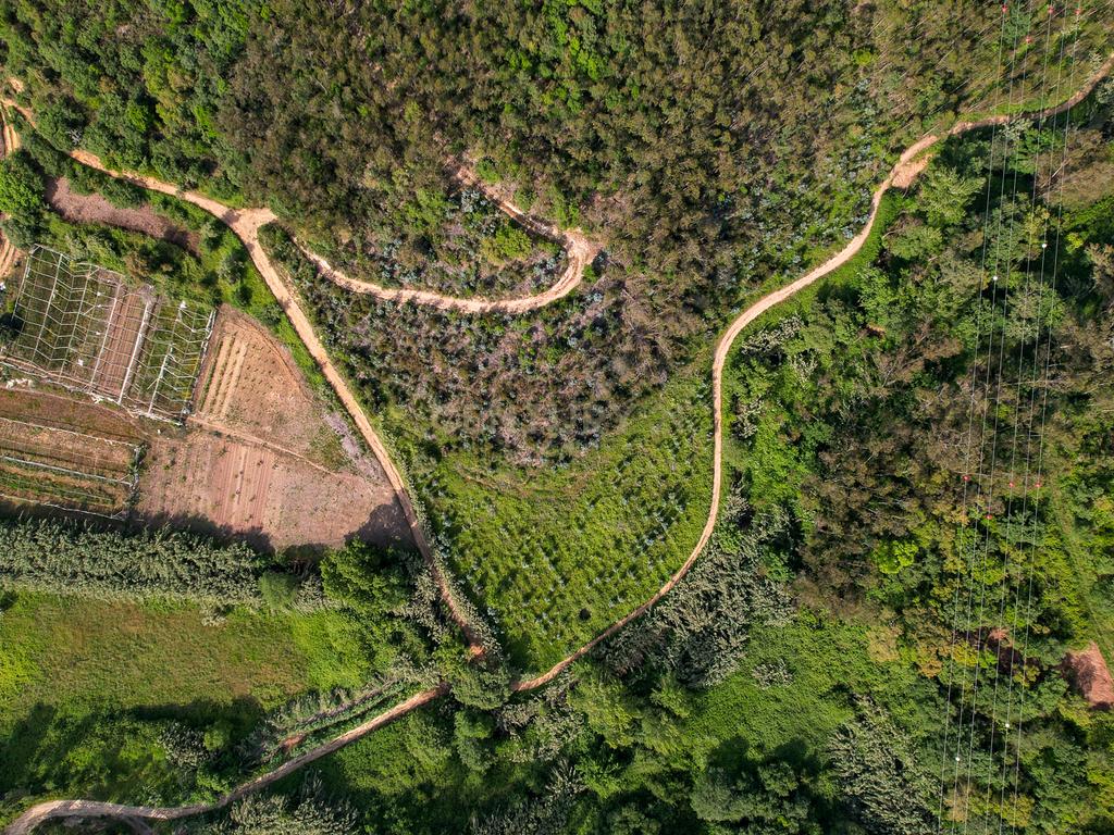 Terreno Rústico com mais de 1.5 Hectares em Mafra – Vista Linda e Perto da Ericeira! - Image 1