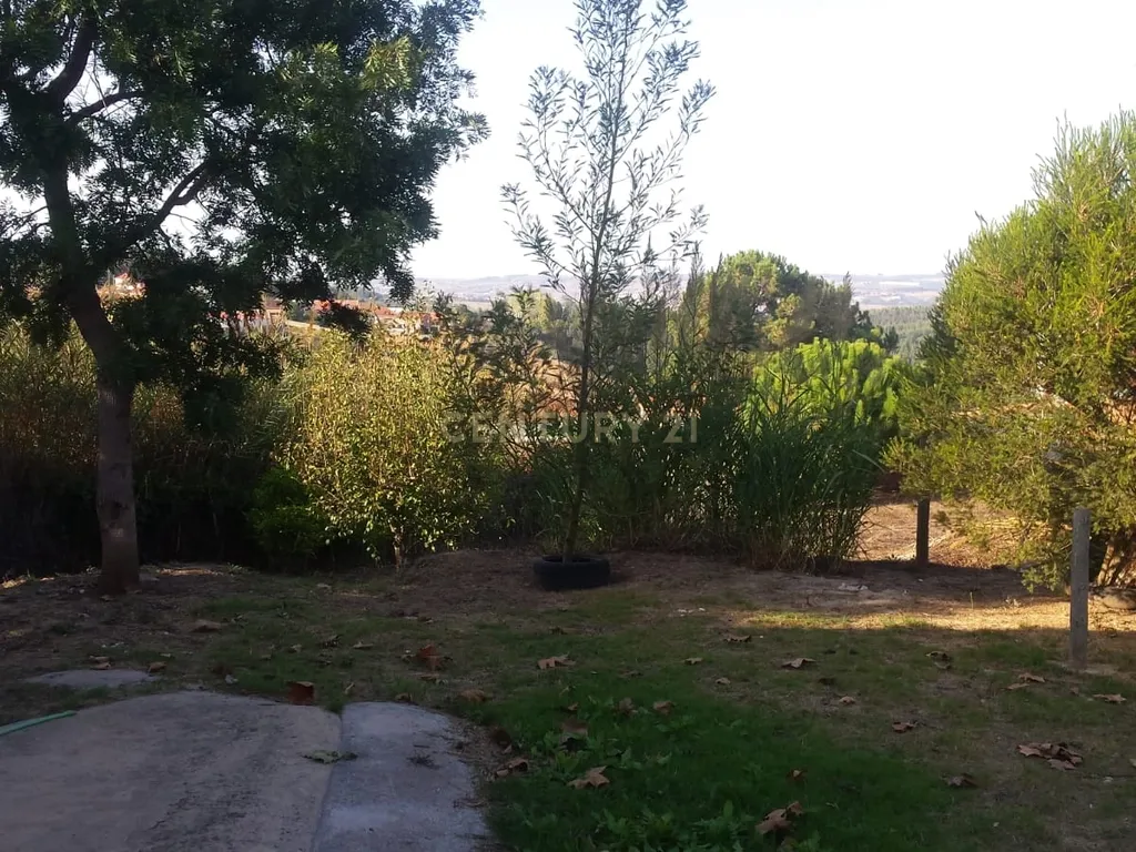 Terreno para construção c/ anexo - Lourinhã - Image 8