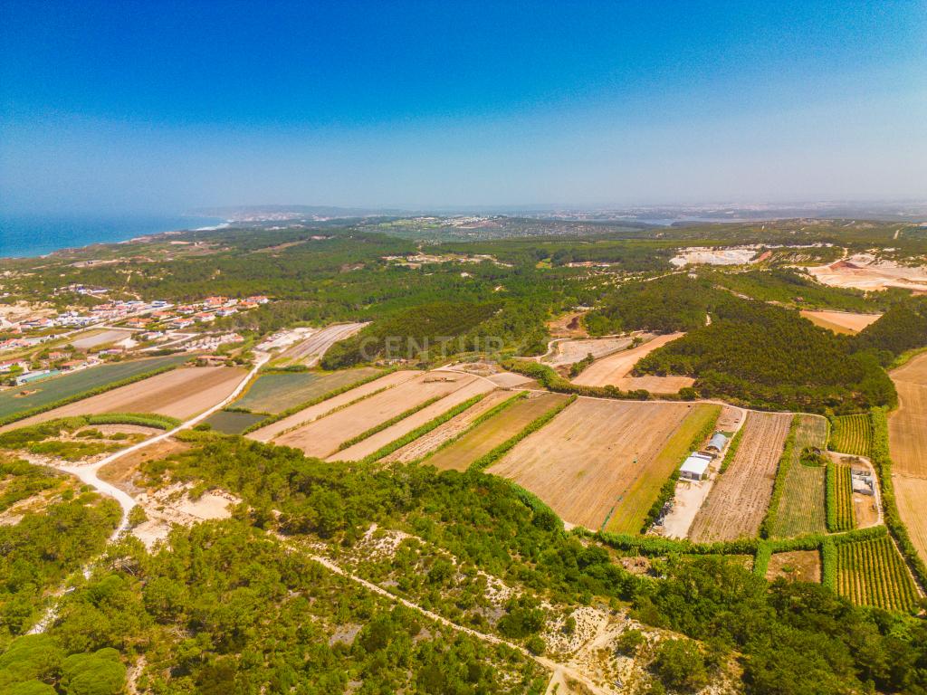 Terreno em Praia D'el Rey - Image 3