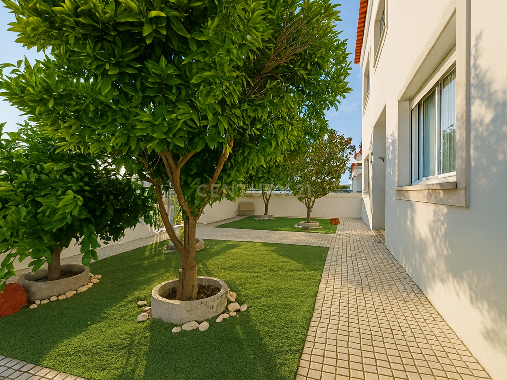 Castro Verde: Viva Uma Casa Onde os Sonhos se Encontram Com Tranquilidade. - Image 36