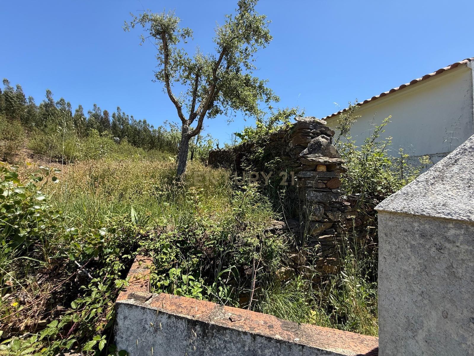Fotografia 12 de Casa de Campo em Alegrete, Portalegre - Oportunidade Única