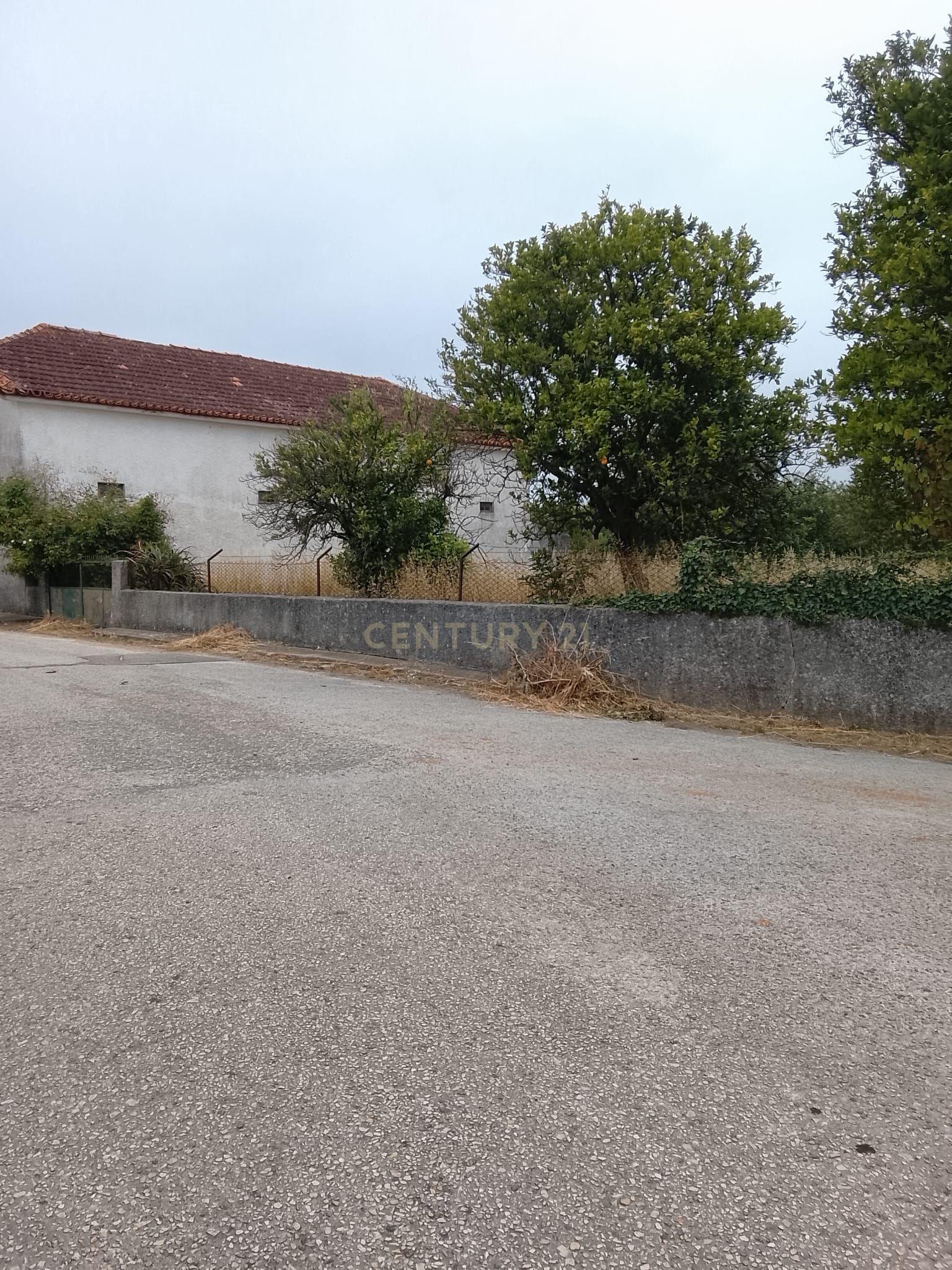 Fotografia 12 de Terreno Urbanizável com 3.115 m² e Armazém de 138 m² | Dois Artigos | Vilarinho do Bairro, Anadia